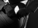 Mr and Mrs Smith (1941)Carole Lombard, closeup and gloves